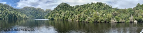 View up the Gordon River Tasmania Australia. Huon pine. Historic  untouched landscape. No people