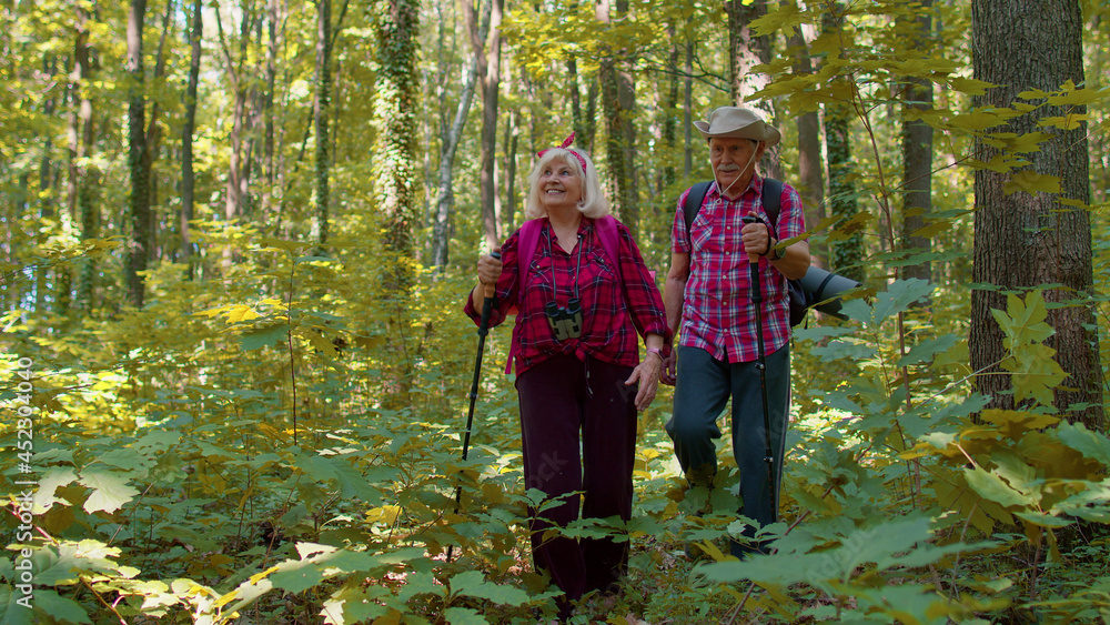 Senior grey-haired old Caucasian man and woman walking in forest with sticks on sunny day. Grandmother grandfather tourists hiking with backpacks and trekking poles in wood. Tourism and travel concept Senior grey-haired old Caucasian man and woman walking in forest with sticks on sunny day. Grandmother grandfather tourists hiking with backpacks and trekking poles in wood. Tourism and travel concept