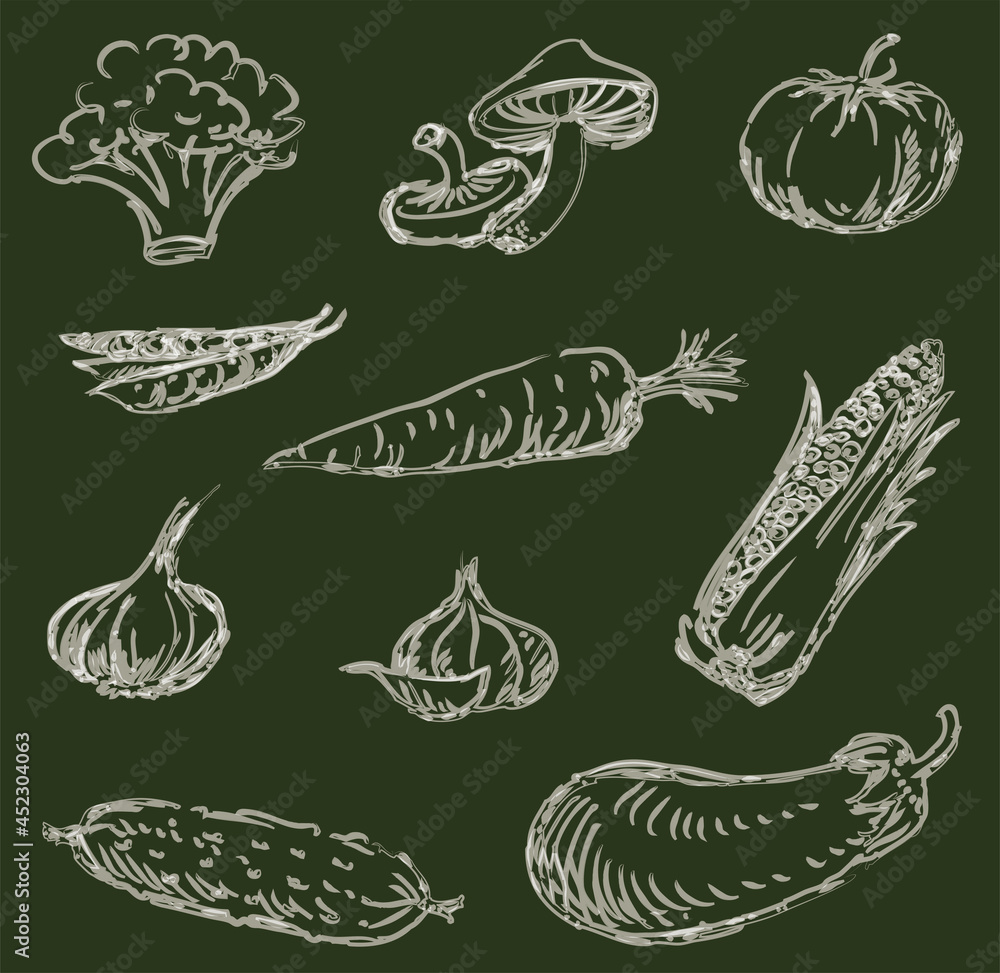 Contour drawings of watercolor brush of various vegetables Contour drawings of watercolor brush of various vegetables