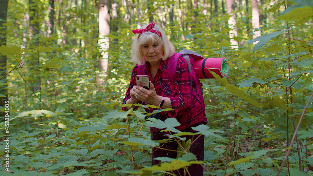Senior elderly grandmother naturalist adventurer exploring forest trees, plants with mobile phone in wood. Tourist woman grandparent making photos using telephone. Active retirement, tourism, hobby