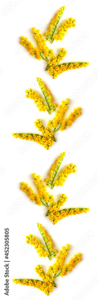 Sprig of yellow flowers mimosa floral ornament. Seamless pattern for textiles and wrapping paper. The element is repeated in even rows.