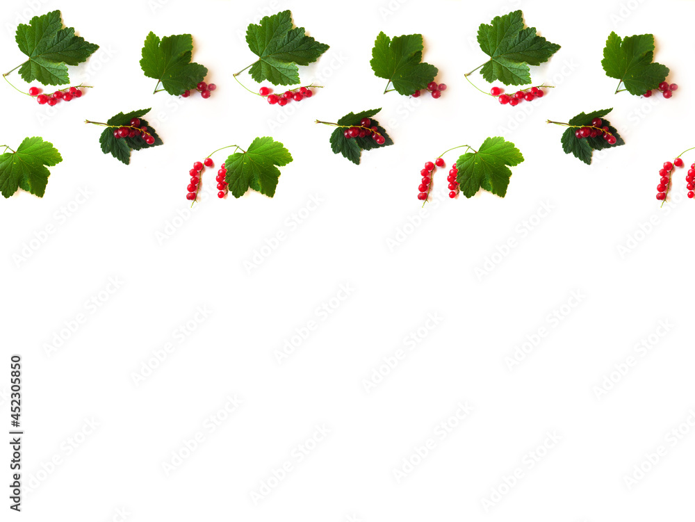 Seamless pattern of sprigs of red currants on a white background with place for text.