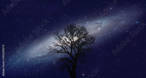 Lone dead tree with amazing Andromeda  Galaxy at sunset "Elements of this image furnished by NASA " © muratart