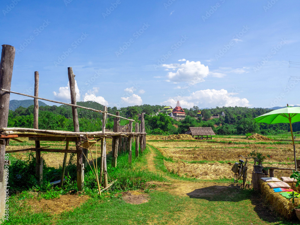 The blue sky and the bamboo bridge(Su Tong Pae bridge) on the yellow rice field at Mae Hong Son, Thailand.