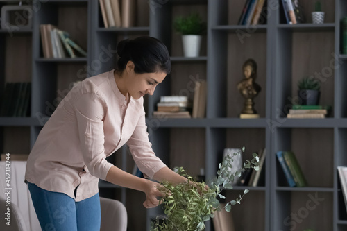 Happy millennial Indian woman take care water green house plant in own apartment. Smiling young mixed race female decorate home with greenery or floral compositions at home. Design, rental concept.