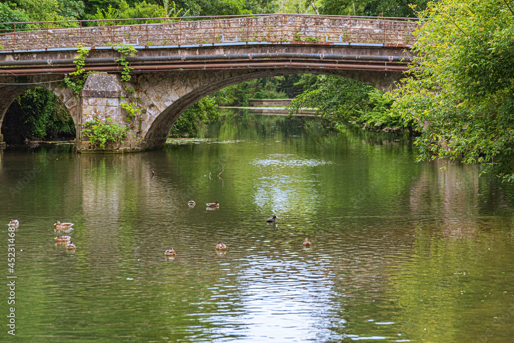 Fototapeta premium La riviere Yerres a Yerres