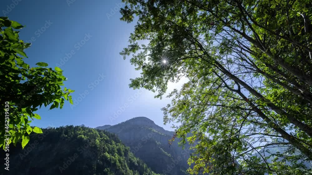 monte pedido mountains with trees in foreground