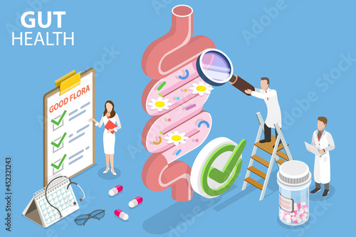 3D Isometric Flat Vector Conceptual Illustration of Gut Health, Healthy Gut Microbiota