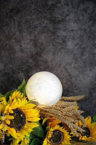 dark background with moon lamp, wheat ears and sunflowers. Esoteric spiritual ritual for full harvest moon. barley or Harvest Moon esbat. wiccan pagan tradition. copy space photo