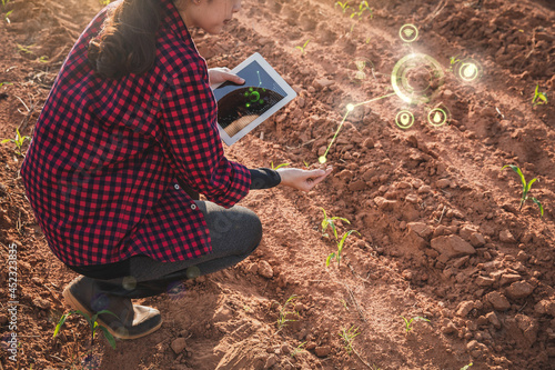 Obraz na plátně Smart farming, using modern technologies in agriculture