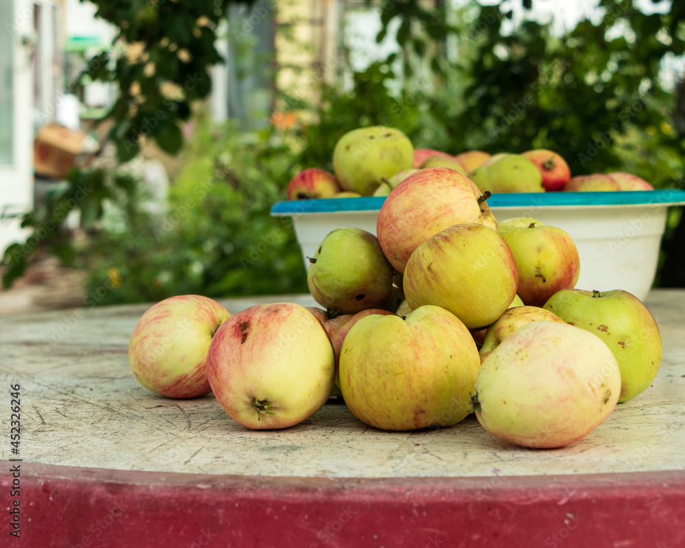 Freshly picked ripe apples are in a plate on the table. Freshly picked ripe apples are in a plate on the table.