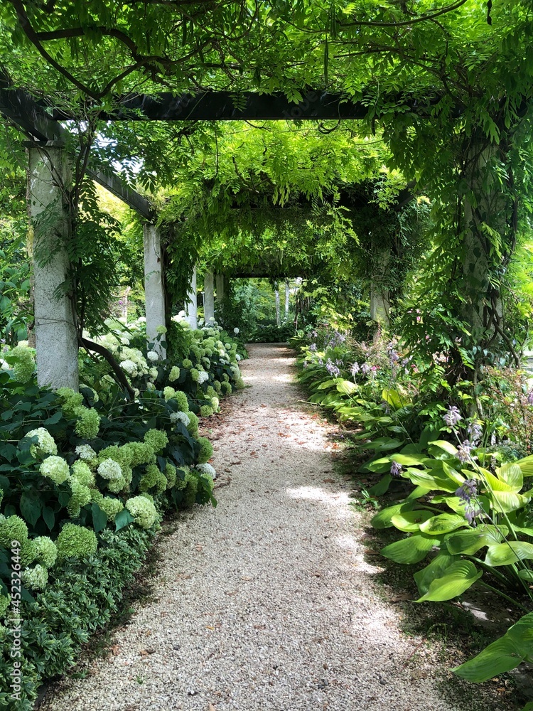 path in the garden path in the garden