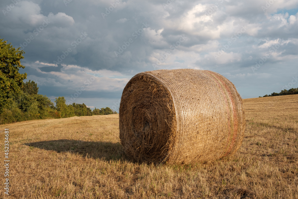 round bales of straw on a field in Germany.