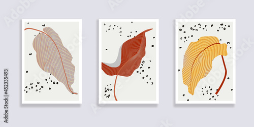 Trendy set of minimalist abstract leaves and abstract forms. Minimal botanical wall art. Mid century modern graphic. Plant art design for social media, blog post, print, cover, wallpaper. Vector