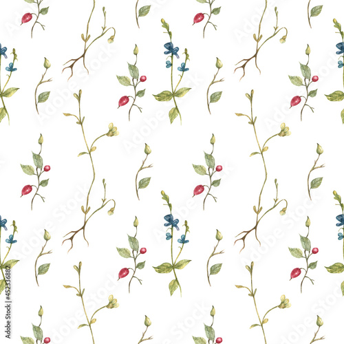 Wallpaper Mural Pattern watercolor butterfly-moth flowers
Watercolor botanical seamless pattern with small flowers. Cute floral print blooming summer meadow illustration with butterflies and wildflowers Torontodigital.ca