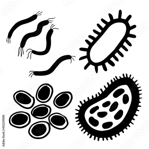 Microorganisms in vibrio bacilli coccus shapes