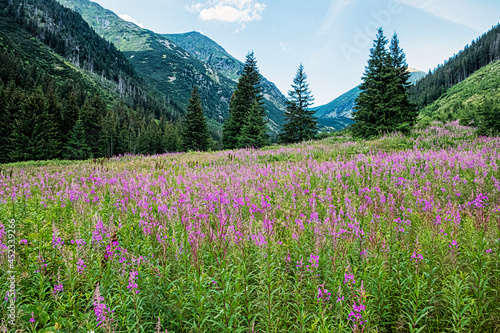 Rackova valley, Western Tatras mountains, Slovakia