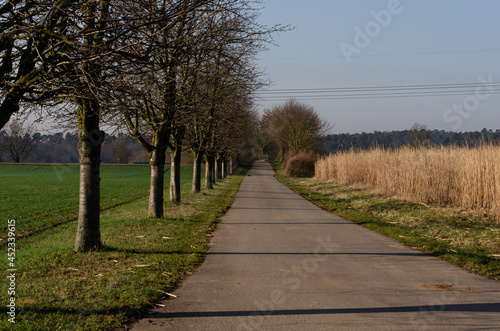 path in the field