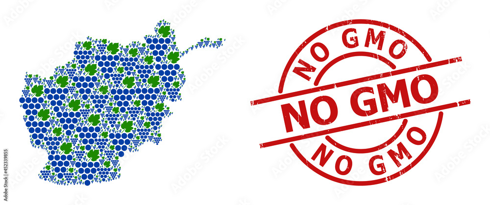 Textured No GMO stamp seal, and grapes bunch collage of Afghanistan map. Red round stamp includes No GMO caption inside circle. Afghanistan map collage is organized with grapes bunch rotated dots. Textured No GMO stamp seal, and grapes bunch collage of Afghanistan map. Red round stamp includes No GMO caption inside circle. Afghanistan map collage is organized with grapes bunch rotated dots.