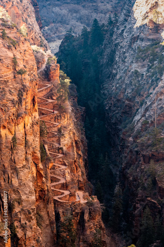 Walters Wiggles From West Rim Trail