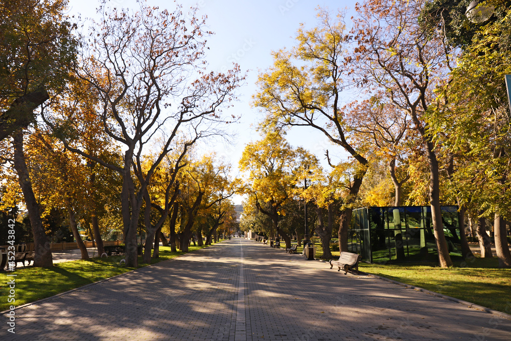 Naklejka premium Baku old boulevard in the early morning.