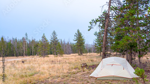 Camping Tent set up in a forest near a road