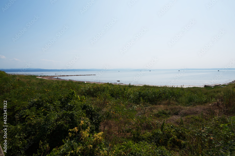 Laguna in Friuli Venezia Giulia, Italia, riserva naturale della Valle Cavanata