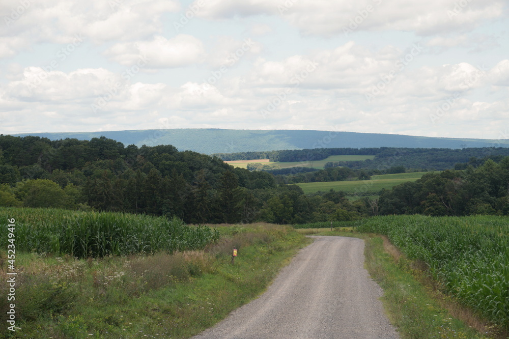 Lane Through Farmland with Valley and Mountains in Background on Summer Day