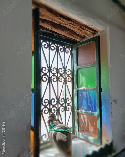 window in the night