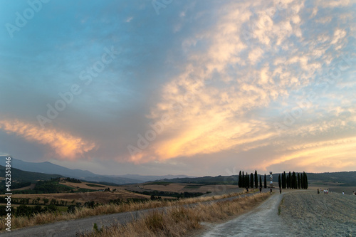 Fototapeta Naklejka Na Ścianę i Meble -  San Quirico D'orcia cypresses sunset Tuscany