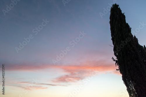 San Quirico D'orcia cypresses sunset Tuscany