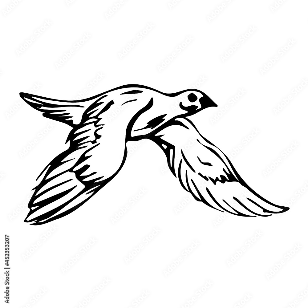 Bird Flying to the Left Bird Flying to the Left