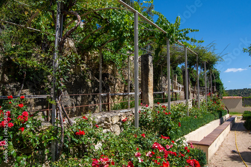Plantas y árboles de los jardínes de la Casa del Águila Imperial en Pedraza © alfonsosm