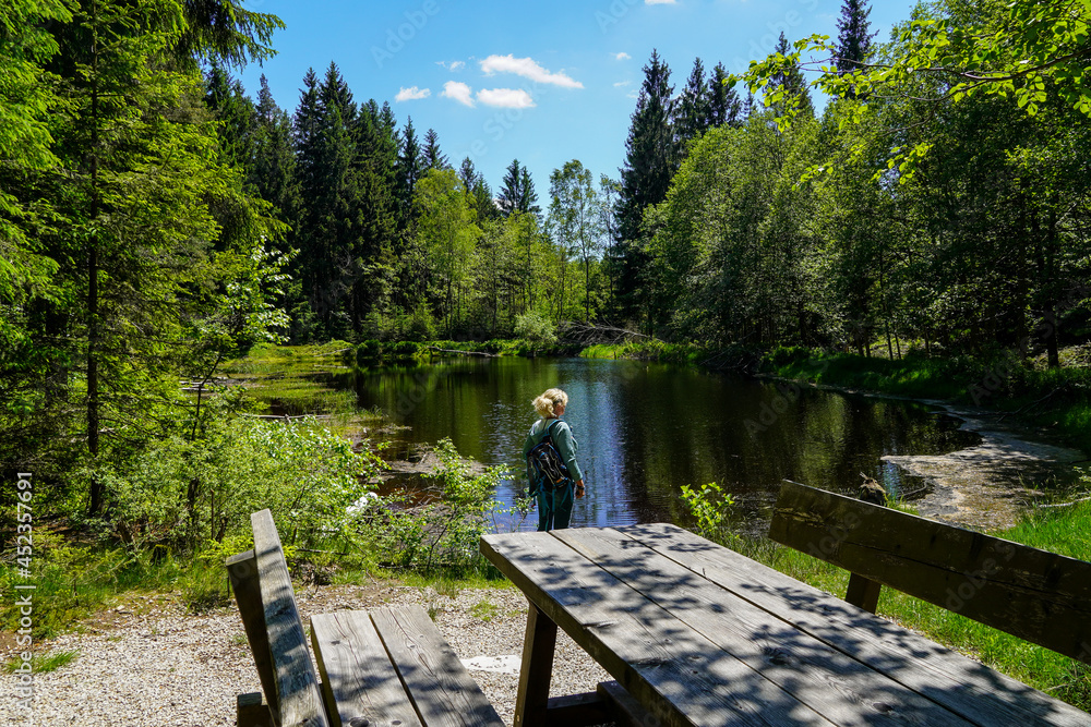 ein romantischer See im Wald mit Bank und Tisch aus Holz ein romantischer See im Wald mit Bank und Tisch aus Holz