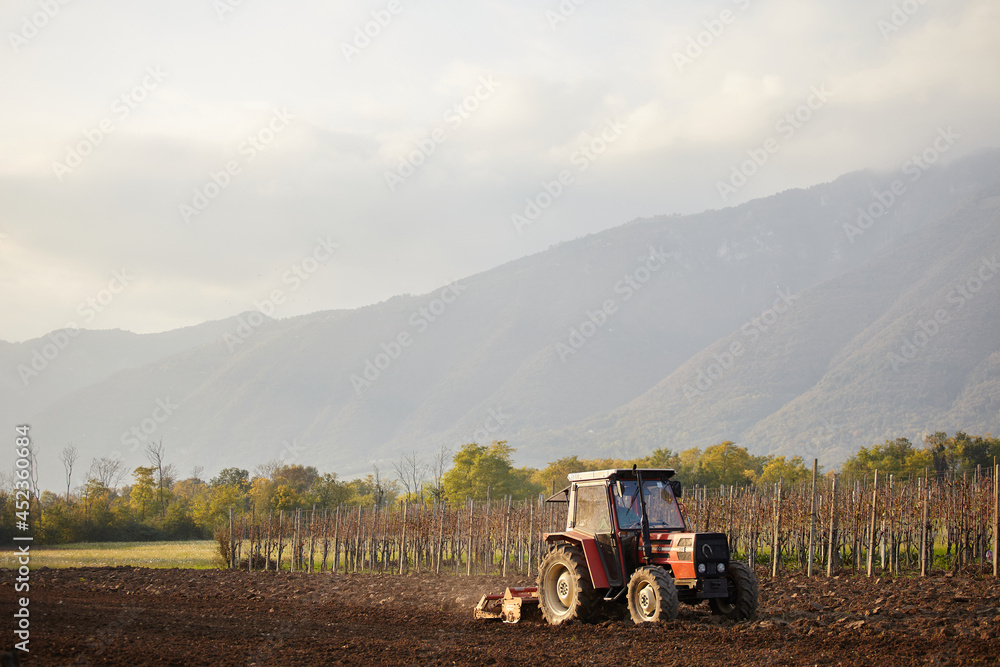 Obraz premium tractor in field