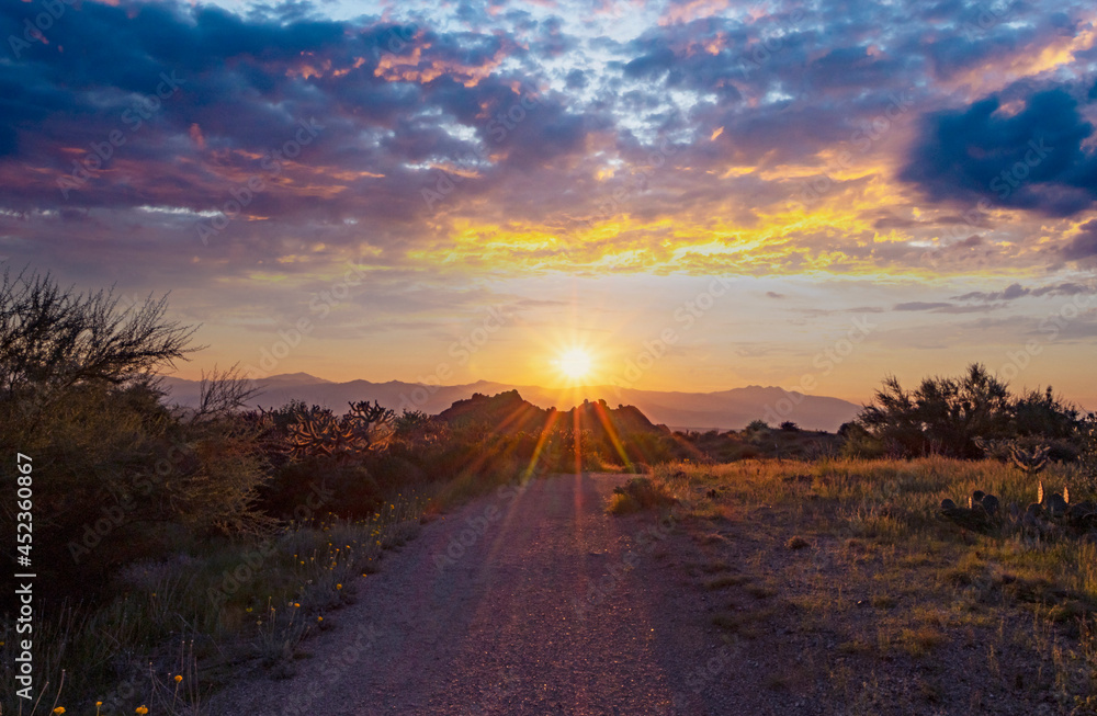 Desert Sun Rising On Hiking Trail In Scottsdale Arizona Desert Sun Rising On Hiking Trail In Scottsdale Arizona
