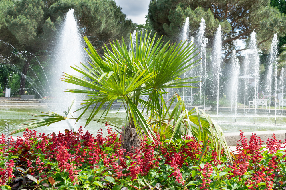 Fototapeta premium Fontanna na tle palm w ogrodzie botanicznym, Frankfurt nad Menem