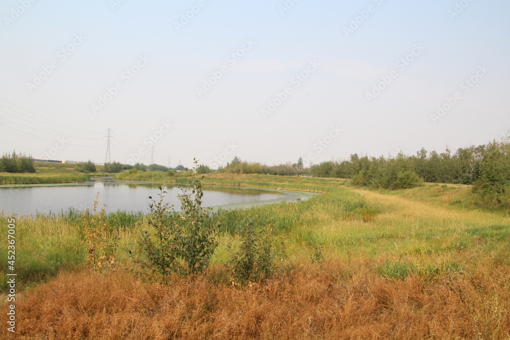 Heat On The Land, Pylypow Wetlands, Edmonton, Alberta