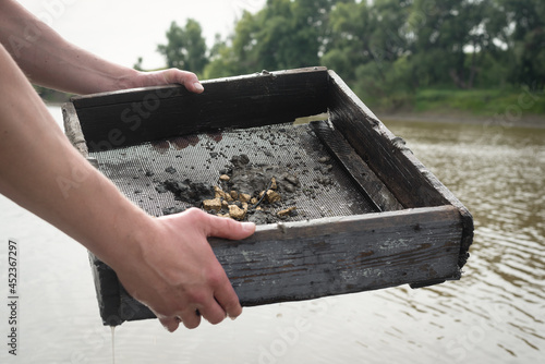 Treasure hunter is picking a golden ore from dirty metal grid on the river water background. Sifting gold concept. photo