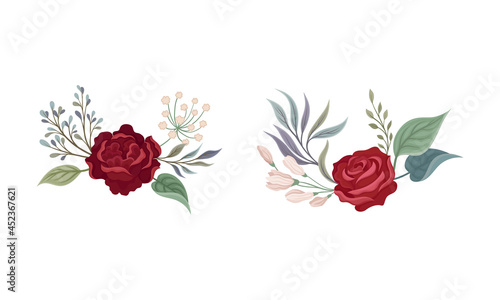 Red rose with green leaves set. Vintage floristic elements for greeting, invitation card vector illustration