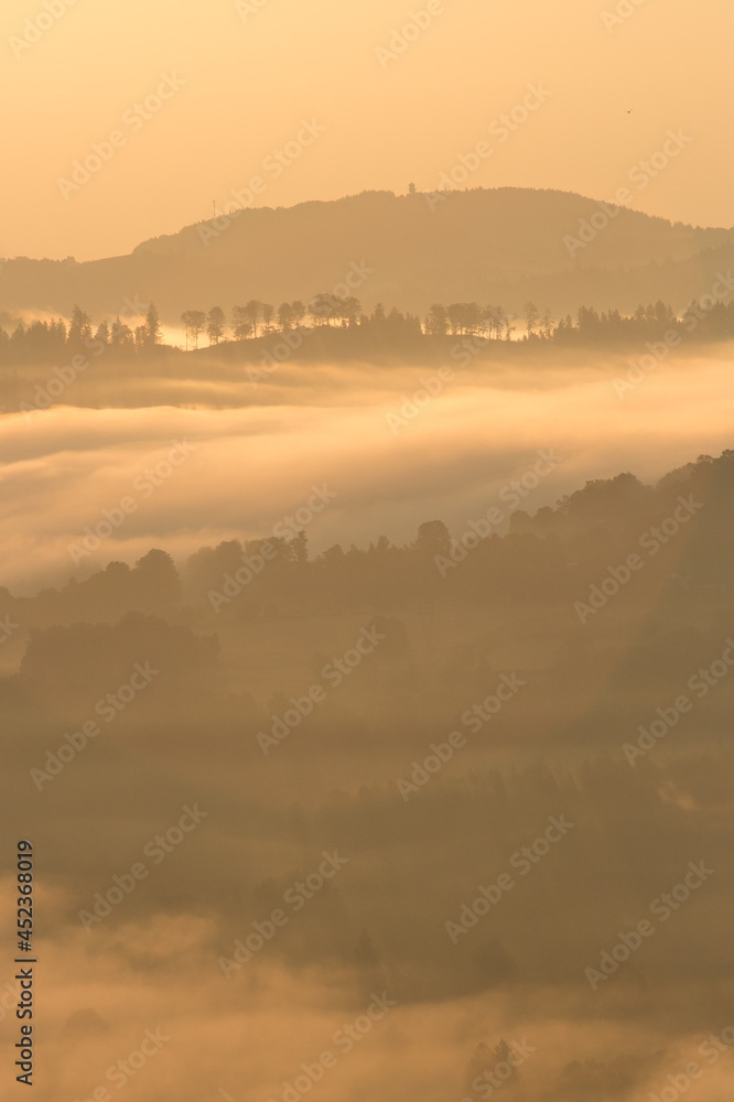 Fototapeta premium Malowane porankiem