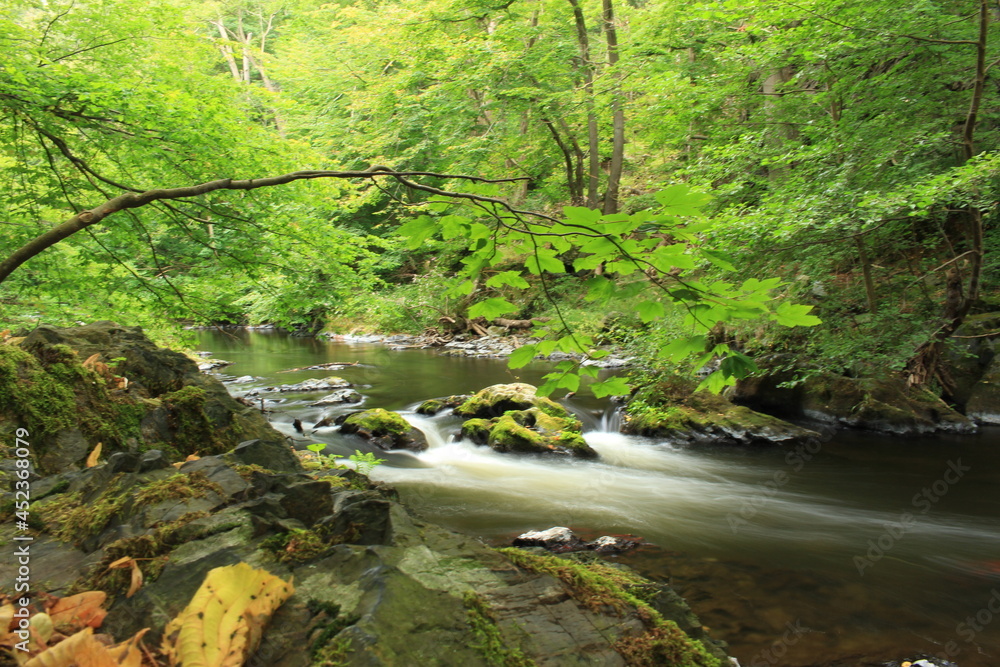 Flusslandschaft, wald, wasser, germany, harz, bach, frühling, natur, Flusslandschaft, wald, wasser, germany, harz, bach, frühling, natur,
