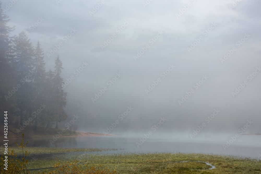 synevyr lake on a foggy morning. beautiful nature scenery of national park in autumn. mysterious atmosphere and cloudy sky. trees in colorful foliage reflecting in the water synevyr lake on a foggy morning. beautiful nature scenery of national park in autumn. mysterious atmosphere and cloudy sky. trees in colorful foliage reflecting in the water