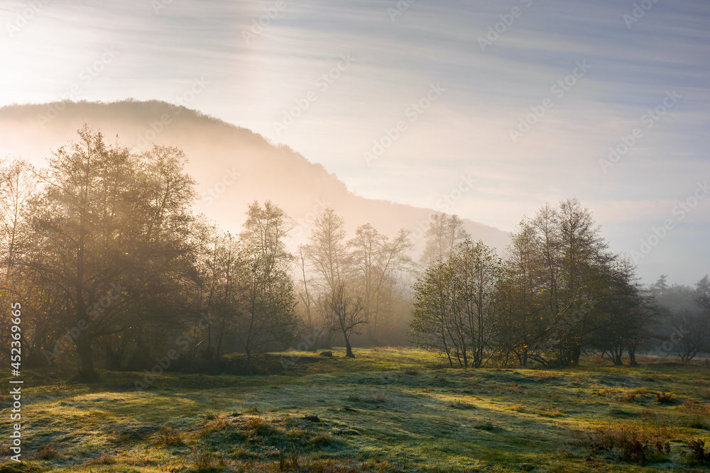 Obraz premium countryside scenery at sunrise. fog glowing in morning light above the forest on the grassy meadow. magical autumn landscape in mountains beneath a blue sky with clouds