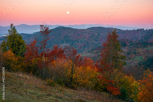 moon rise above snow covered ridge. wonderful autumn landscape of carpathian mountains in late autumn. nature scenery at twilight © Pellinni