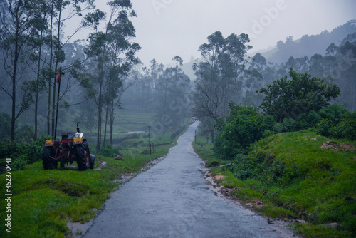 Munnar Plantation roads