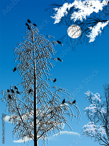 blue sky with cloudsand birds on tree photo