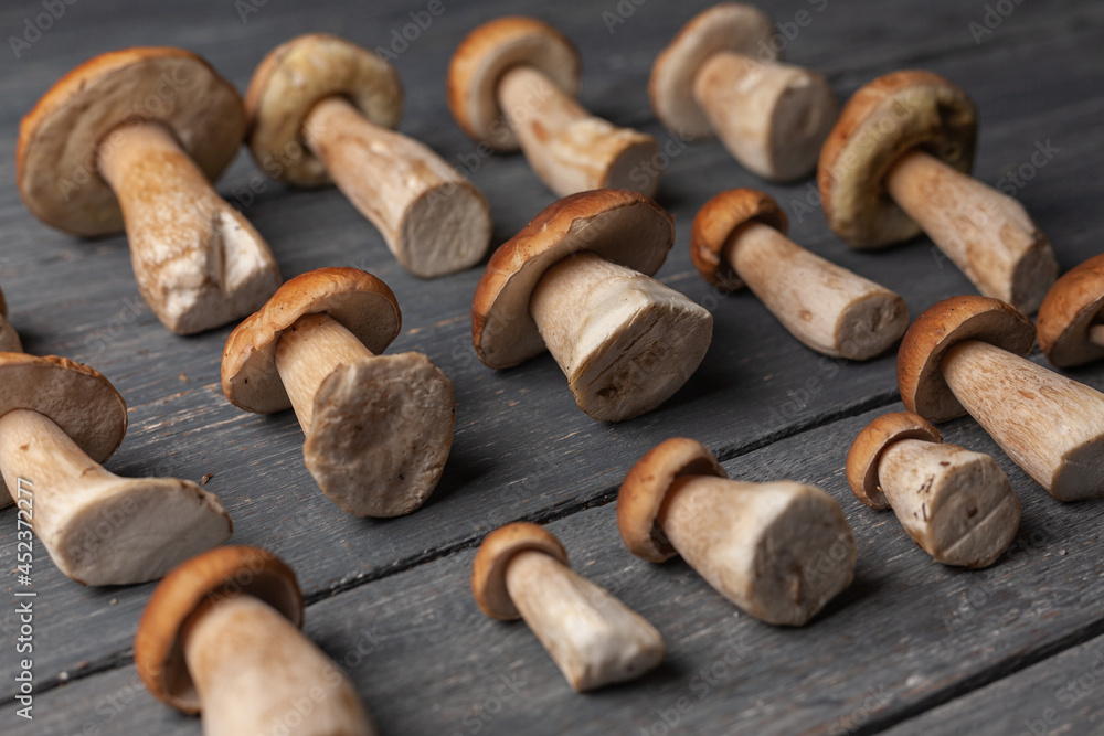 Porcini or white mushrooms from forest on a table. Porcini or white mushrooms from forest on a table.