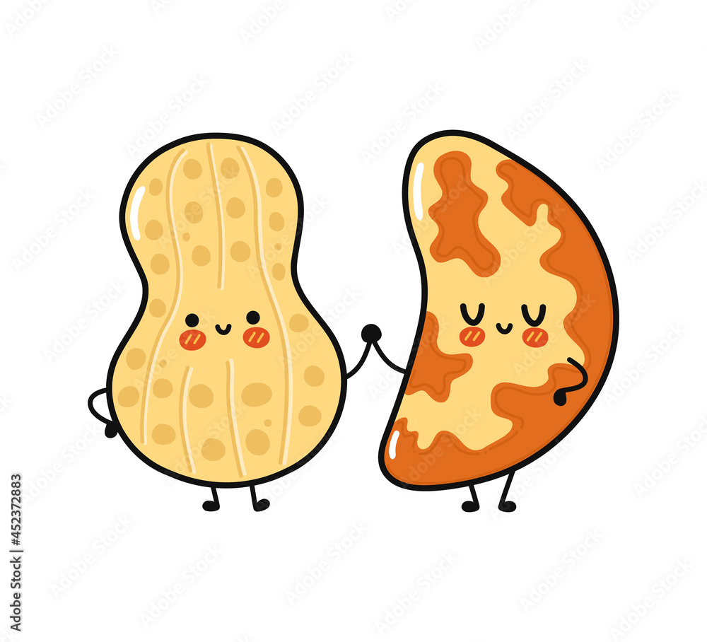 Vecteur Stock Cute, funny happy peanut and brazilian nut character