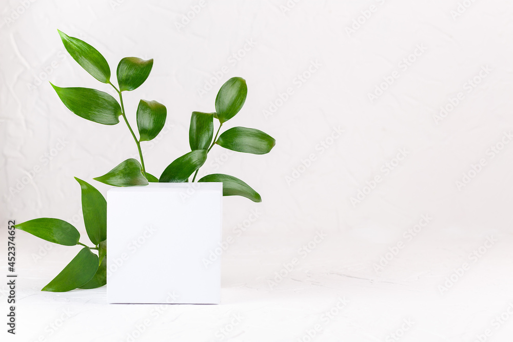 Green leaves and cube white empty podium for product display Green leaves and cube white empty podium for product display